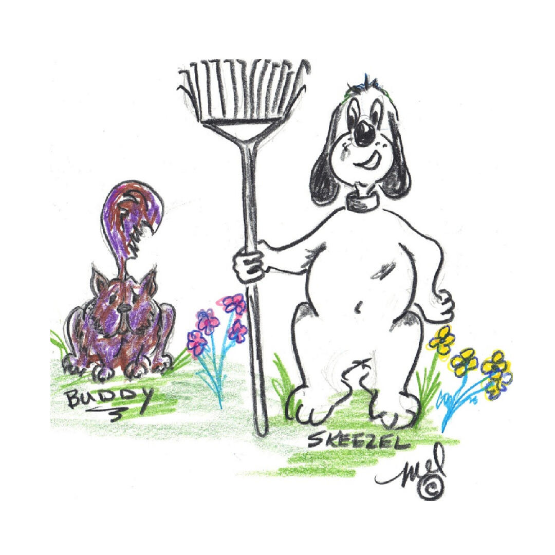 Skeezel with Buddy Skeezel and his friend Buddy the cat.