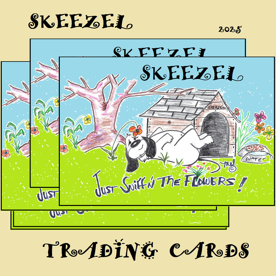 Skeezel 2025 trading cards